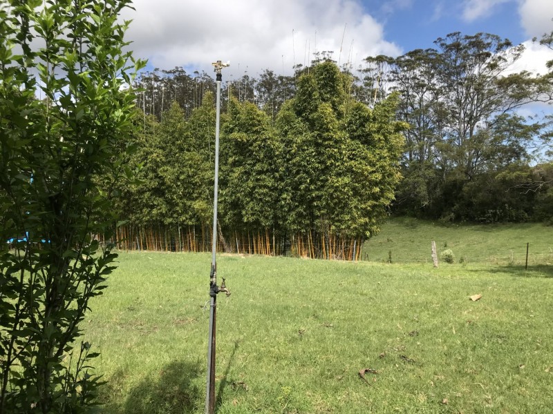 246 West Bulga Road, Elands NSW 2429