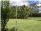 246 West Bulga Road, Elands NSW 2429