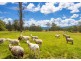 126 Bimbadeen Road, Wherrol Flat NSW 2429