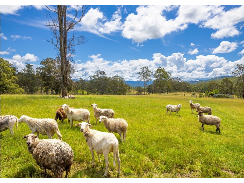 126 Bimbadeen Road, Wherrol Flat NSW 2429