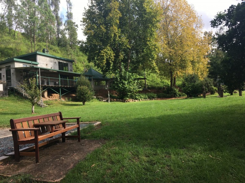 945 Caparra Road, Caparra NSW 2429