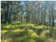 Wherrol Flat NSW 2429