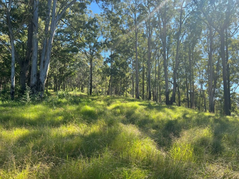 Wherrol Flat NSW 2429