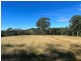 Wherrol Flat NSW 2429