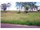 Wingham NSW 2429