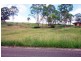 Wingham NSW 2429
