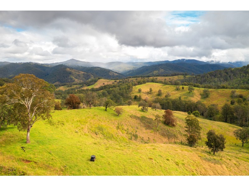 214 Eaglehawk Trail, Yarrowitch NSW 2354