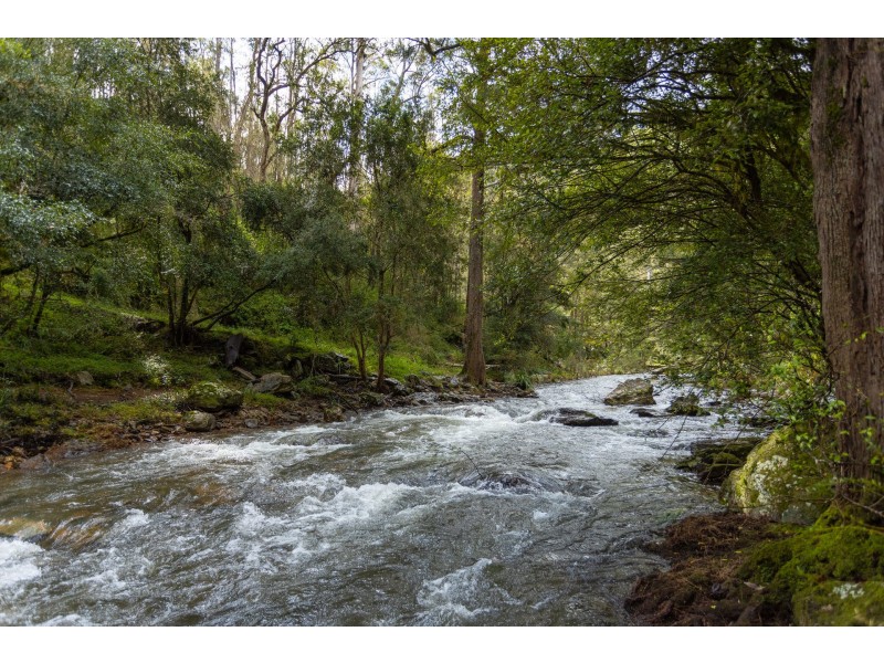 214 Eaglehawk Trail, Yarrowitch NSW 2354