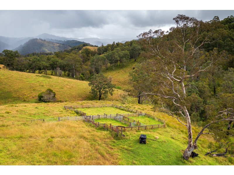 214 Eaglehawk Trail, Yarrowitch NSW 2354