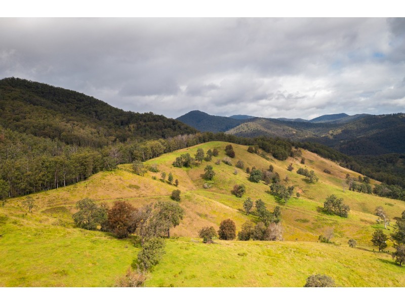 214 Eaglehawk Trail, Yarrowitch NSW 2354