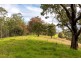 214 Eaglehawk Trail, Yarrowitch NSW 2354