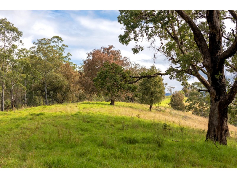 214 Eaglehawk Trail, Yarrowitch NSW 2354