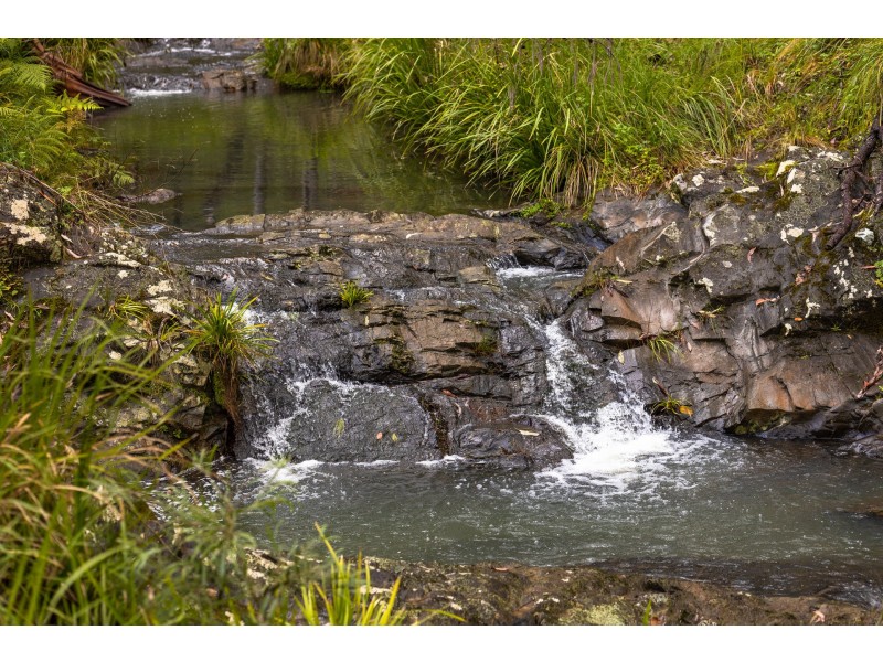 214 Eaglehawk Trail, Yarrowitch NSW 2354