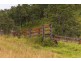 214 Eaglehawk Trail, Yarrowitch NSW 2354