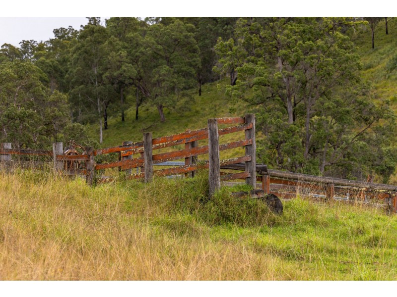 214 Eaglehawk Trail, Yarrowitch NSW 2354