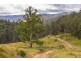 214 Eaglehawk Trail, Yarrowitch NSW 2354