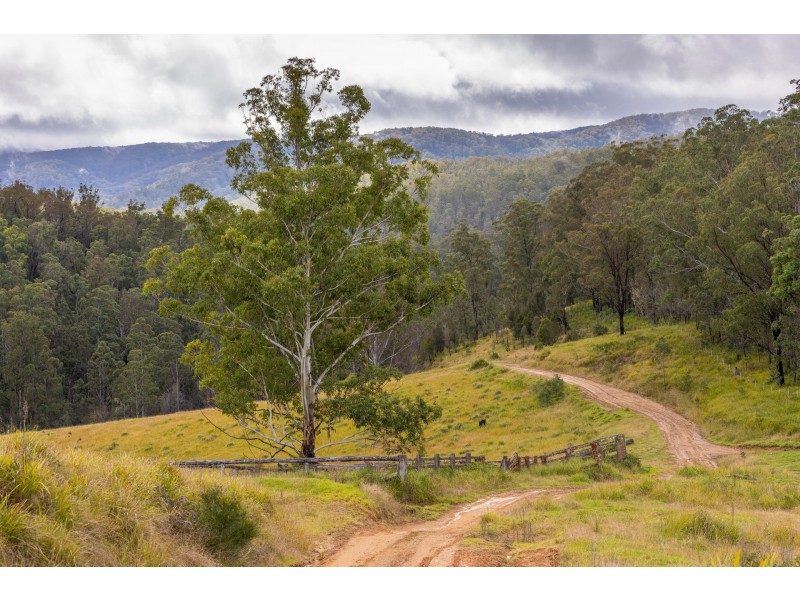 214 Eaglehawk Trail, Yarrowitch NSW 2354