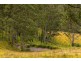 214 Eaglehawk Trail, Yarrowitch NSW 2354
