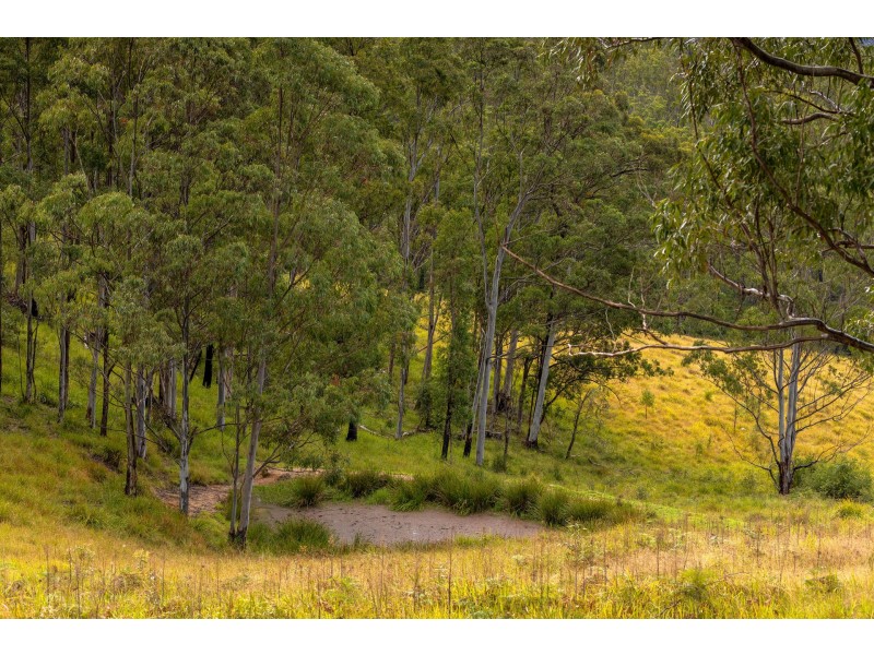 214 Eaglehawk Trail, Yarrowitch NSW 2354