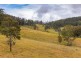 214 Eaglehawk Trail, Yarrowitch NSW 2354
