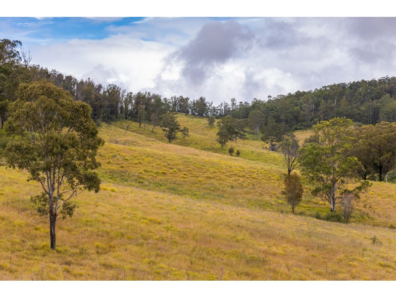 214 Eaglehawk Trail, Yarrowitch NSW 2354