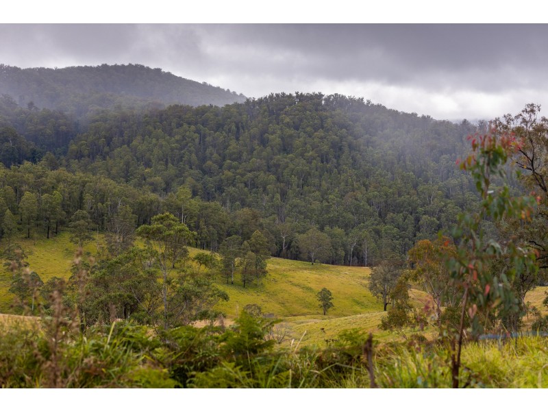 214 Eaglehawk Trail, Yarrowitch NSW 2354