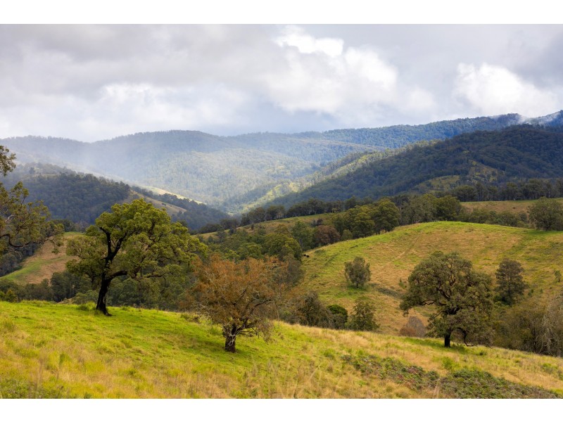 214 Eaglehawk Trail, Yarrowitch NSW 2354