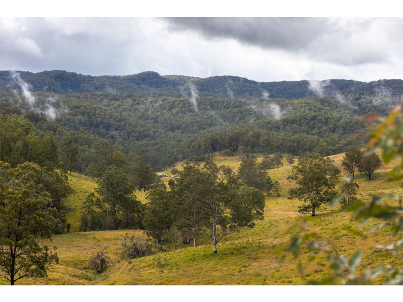 214 Eaglehawk Trail, Yarrowitch NSW 2354