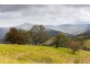 214 Eaglehawk Trail, Yarrowitch NSW 2354