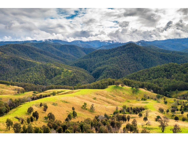 214 Eaglehawk Trail, Yarrowitch NSW 2354