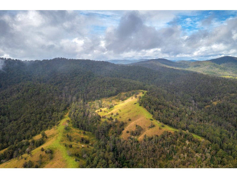 214 Eaglehawk Trail, Yarrowitch NSW 2354