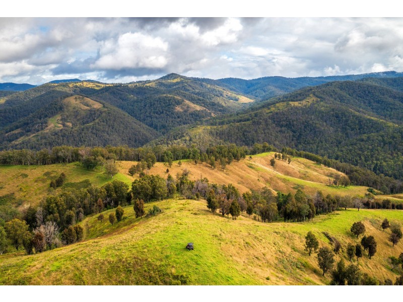 214 Eaglehawk Trail, Yarrowitch NSW 2354