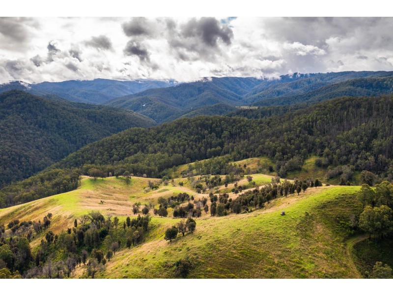 214 Eaglehawk Trail, Yarrowitch NSW 2354