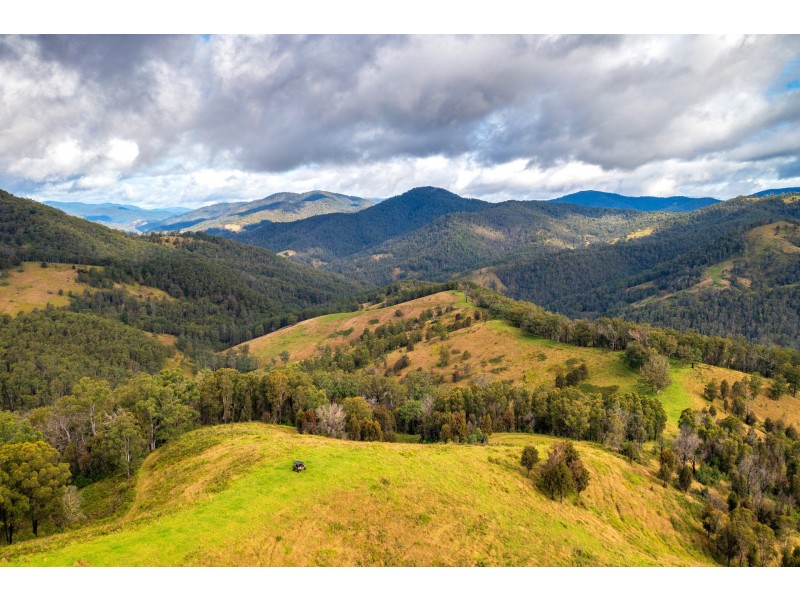 214 Eaglehawk Trail, Yarrowitch NSW 2354