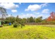 61 Killawarra Street, Wingham NSW 2429