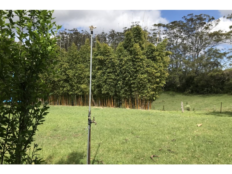246 West Bulga Road, Elands NSW 2429