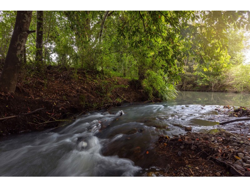 46 Miss Careys Road, Killabakh NSW 2429