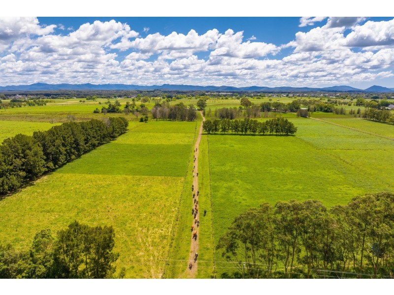 162 Newtons Road, Dumaresq Island NSW 2430