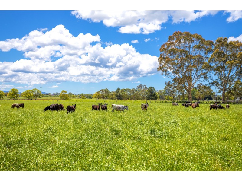 162 Newtons Road, Dumaresq Island NSW 2430