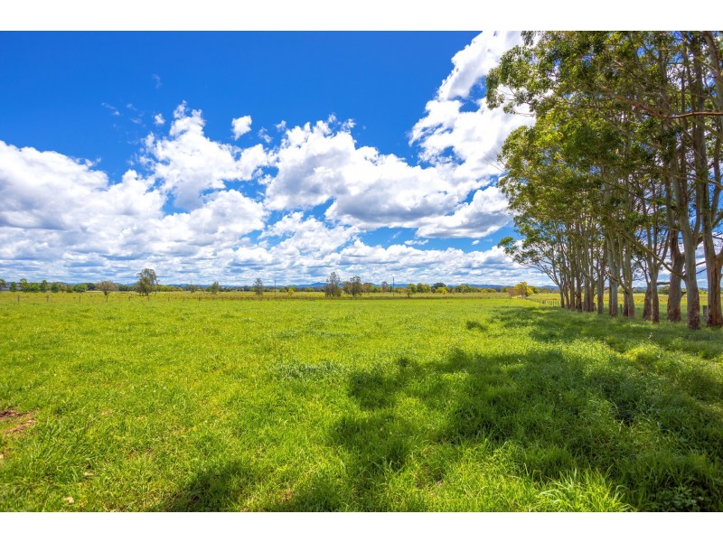 162 Newtons Road, Dumaresq Island NSW 2430