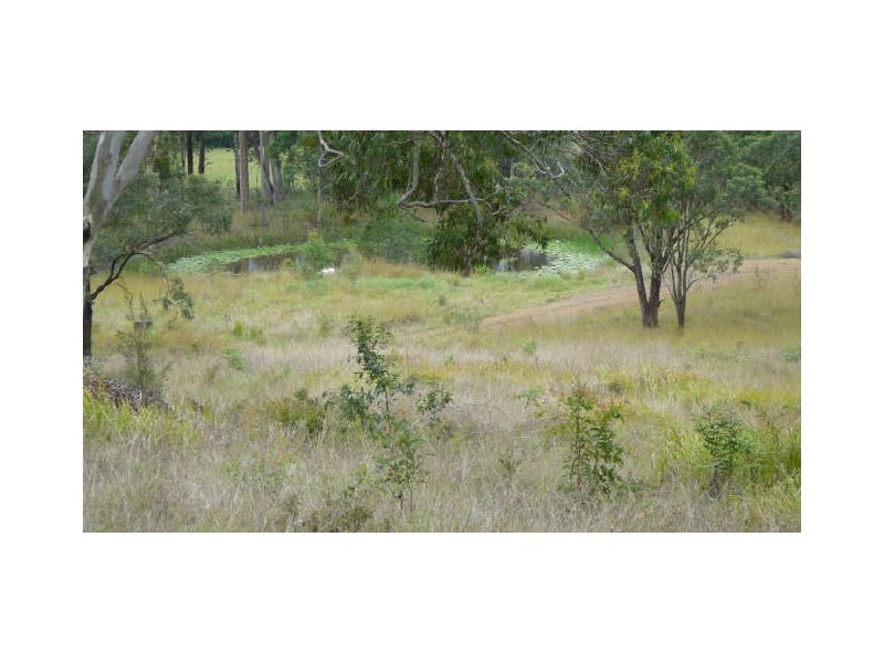 Burrell Creek NSW 2429