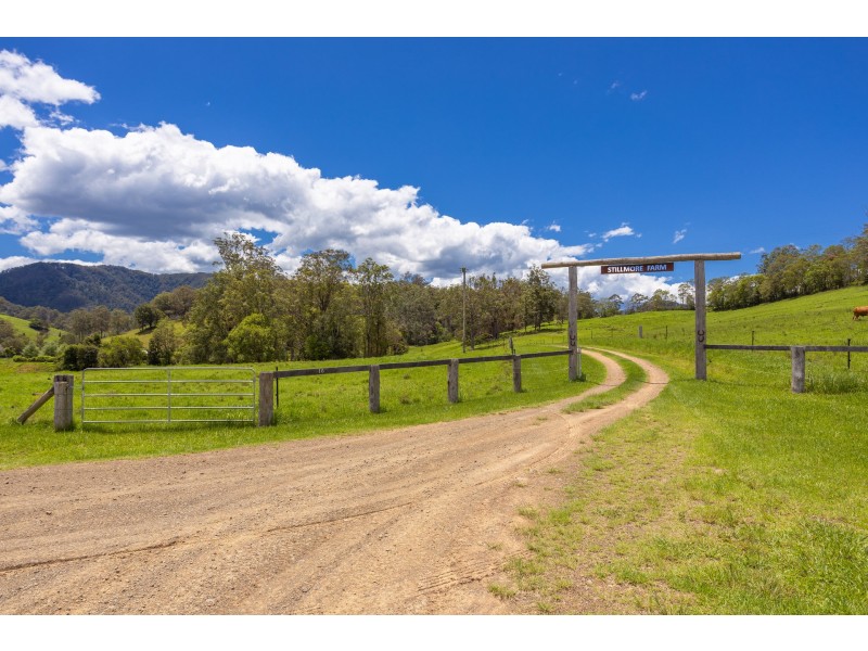 16 Killabakh Creek Road, Killabakh NSW 2429
