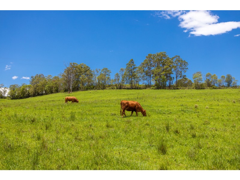 16 Killabakh Creek Road, Killabakh NSW 2429