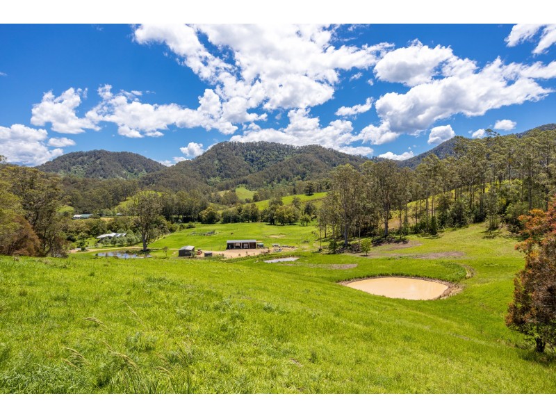 16 Killabakh Creek Road, Killabakh NSW 2429