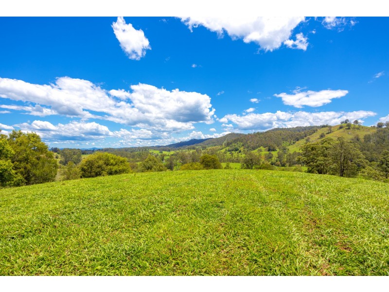 16 Killabakh Creek Road, Killabakh NSW 2429