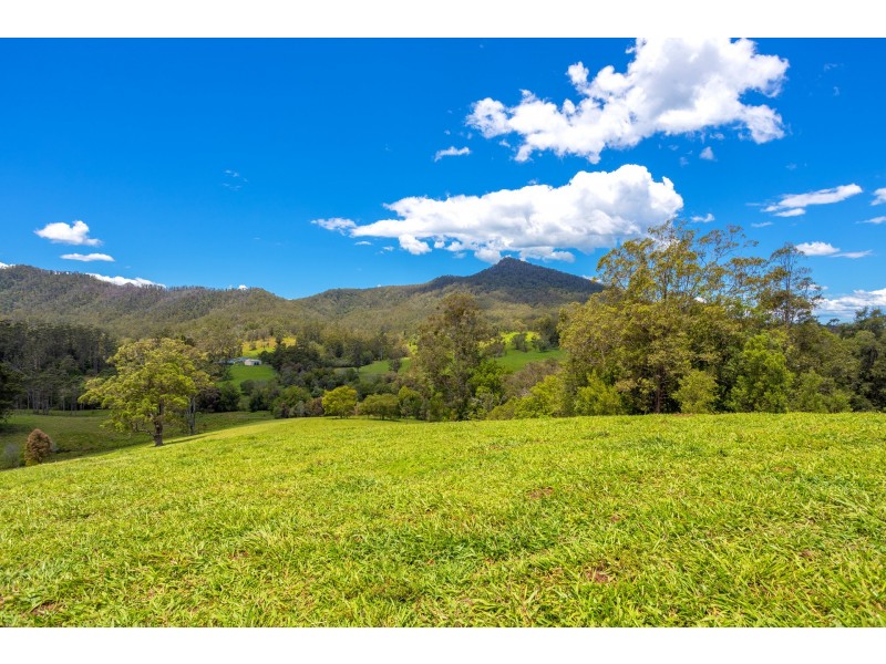 16 Killabakh Creek Road, Killabakh NSW 2429