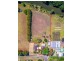 47-51 Appletree Street, Wingham NSW 2429
