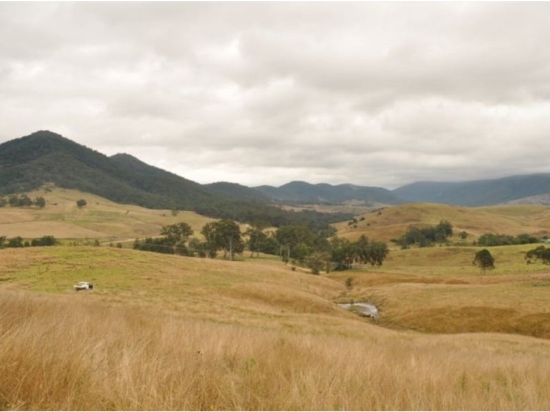 65 Cells Road, Number One NSW 2424