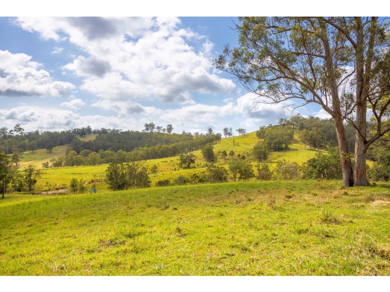 197 Bimbadeen Road, Wherrol Flat NSW 2429