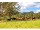 197 Bimbadeen Road, Wherrol Flat NSW 2429